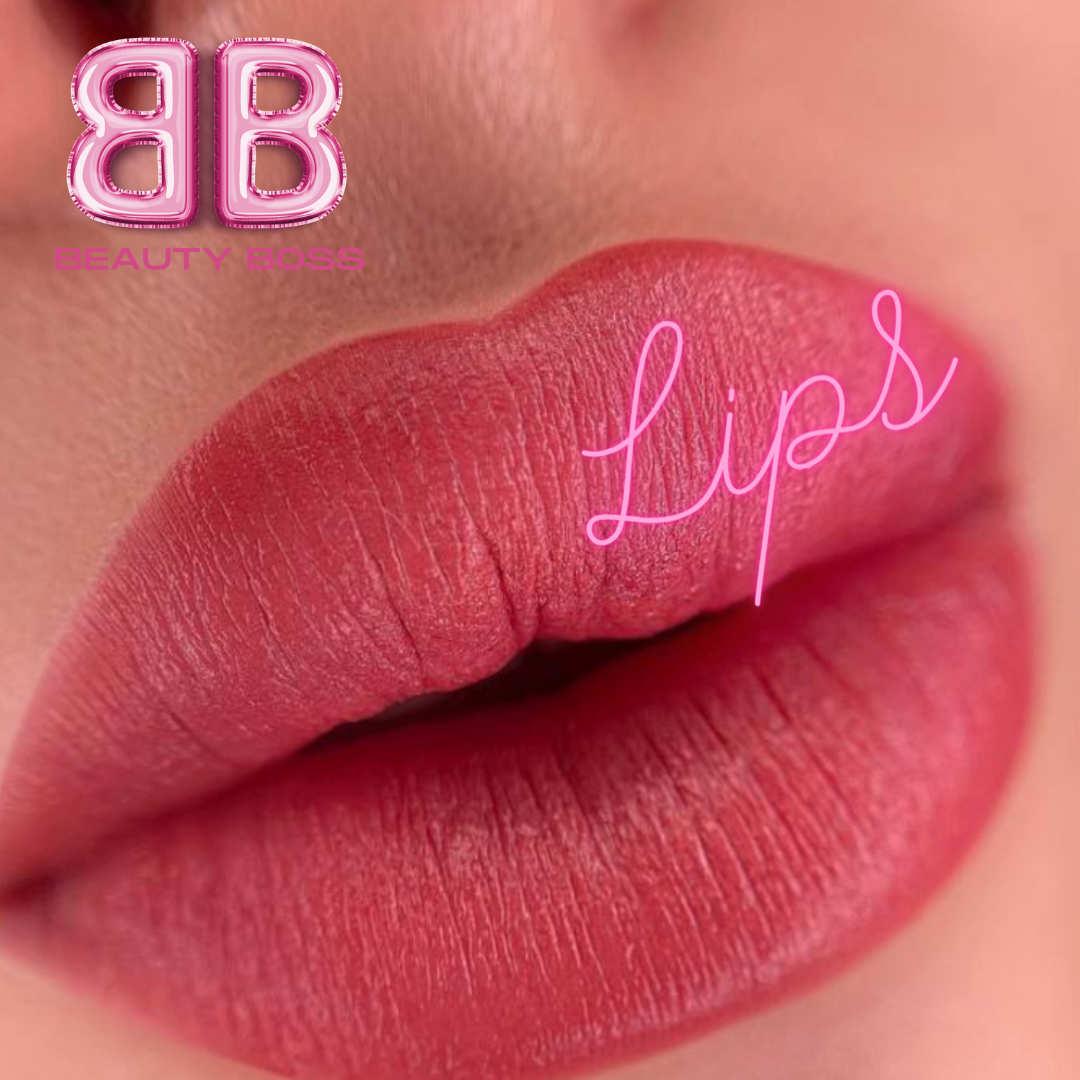 Aquarell lips 2024 kurs Permanent makeup make up Schulung Pmu Lippen