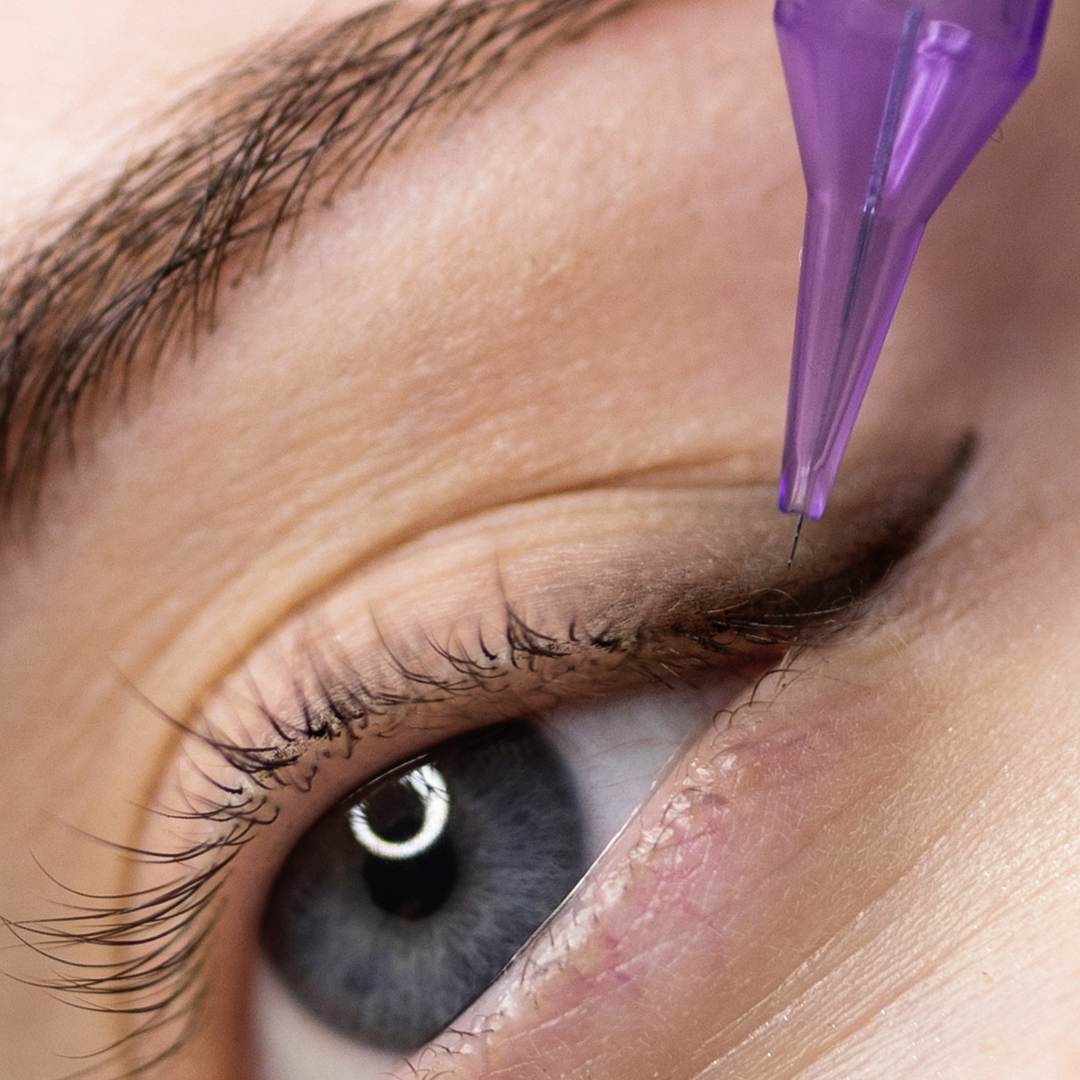 Powder Brows Schulung, Lippenpigmentierung lernen, Eyeliner PMU Kurs