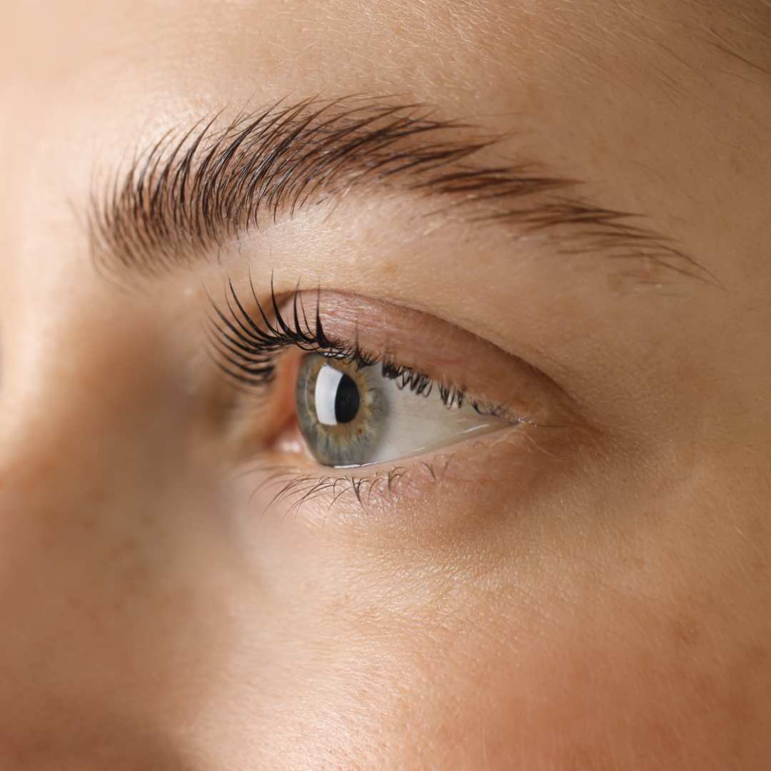 Lashlifting, Wimpern-Lifting, Augenbrauen-Lifting, Browlift Köln