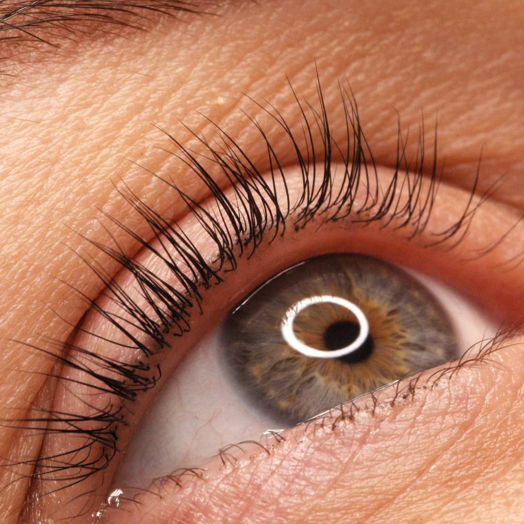 Lashlifting, Wimpern-Lifting, Augenbrauen-Lifting, Browlift Köln