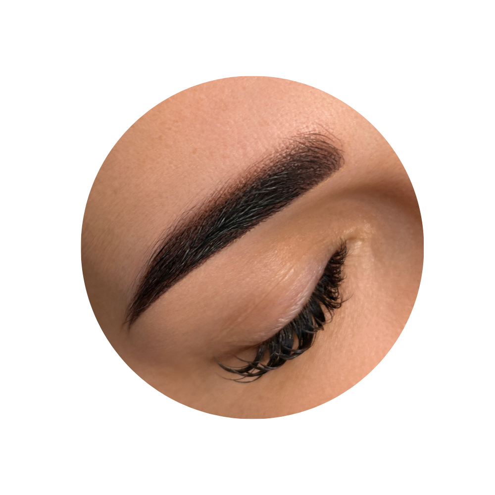 Powderbrows Onlinekurs