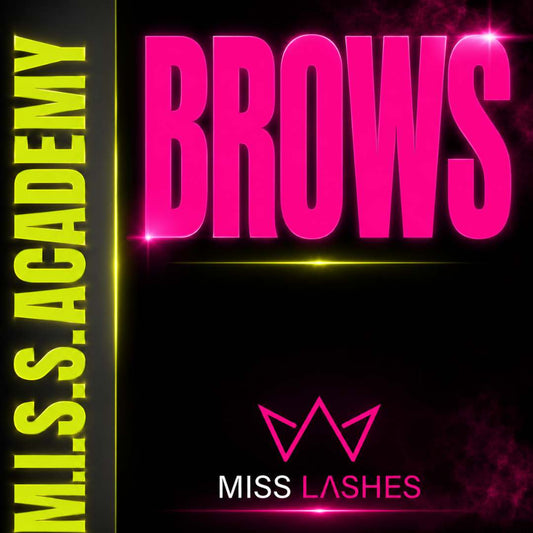 M.I.S.S BROWS Permanent Make-Up SCHULUNG