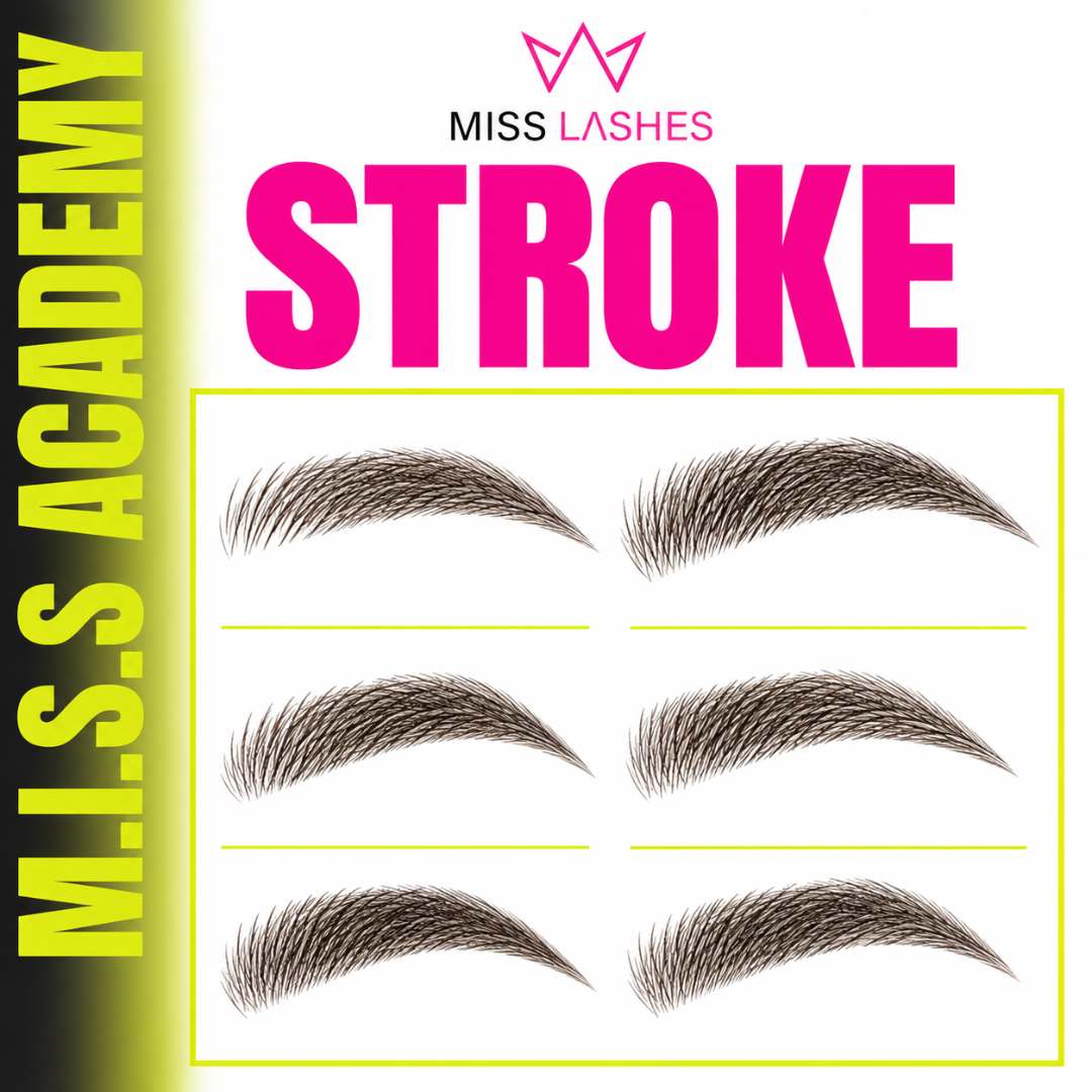M.I.S.S BROWS Hairstroke Weiterbildung