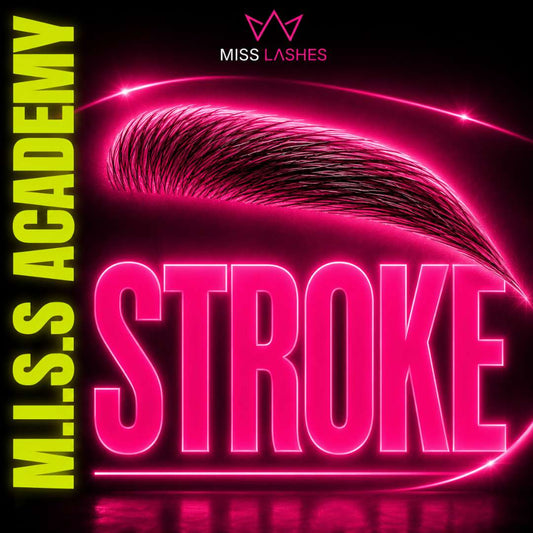 M.I.S.S BROWS Hairstroke Weiterbildung