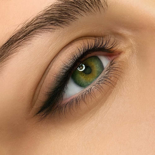 Eyeliner Pigmentierung inkl. Nachstechen Permanent Make Up Schulungen