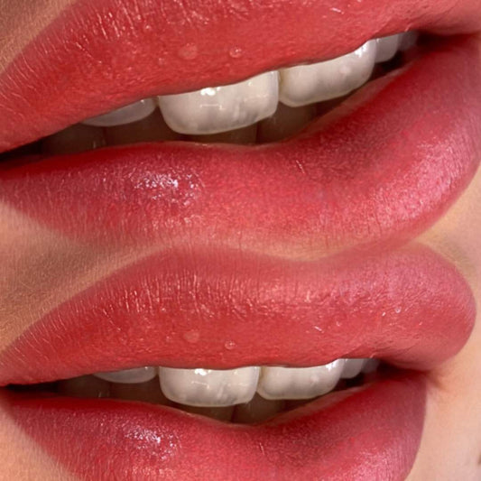 Permanent Make-Up Lippen Behandlung inkl. Nachstechen (4-8 Wochen) Permanent Make Up Academy Köln