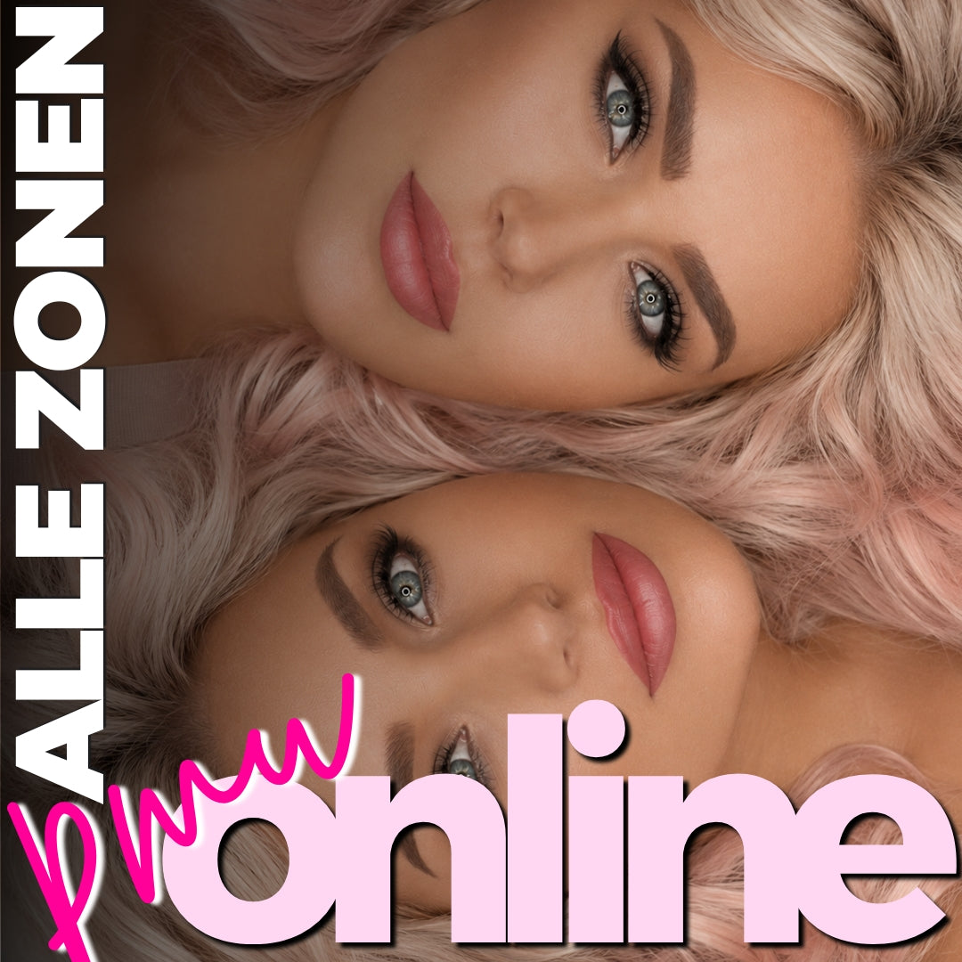 3 Zonen Onlinekurs